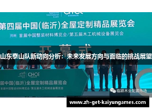 山东泰山队新动向分析：未来发展方向与面临的挑战展望