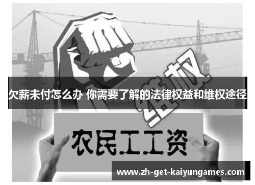 欠薪未付怎么办 你需要了解的法律权益和维权途径