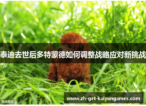 泰迪去世后多特蒙德如何调整战略应对新挑战