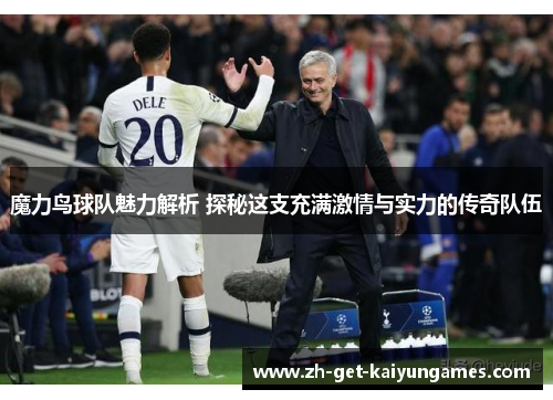 魔力鸟球队魅力解析 探秘这支充满激情与实力的传奇队伍