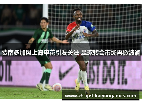 费南多加盟上海申花引发关注 足球转会市场再掀波澜 费南多加盟上海申花引发关注 足球转会市场再掀波澜