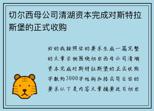 切尔西母公司清湖资本完成对斯特拉斯堡的正式收购